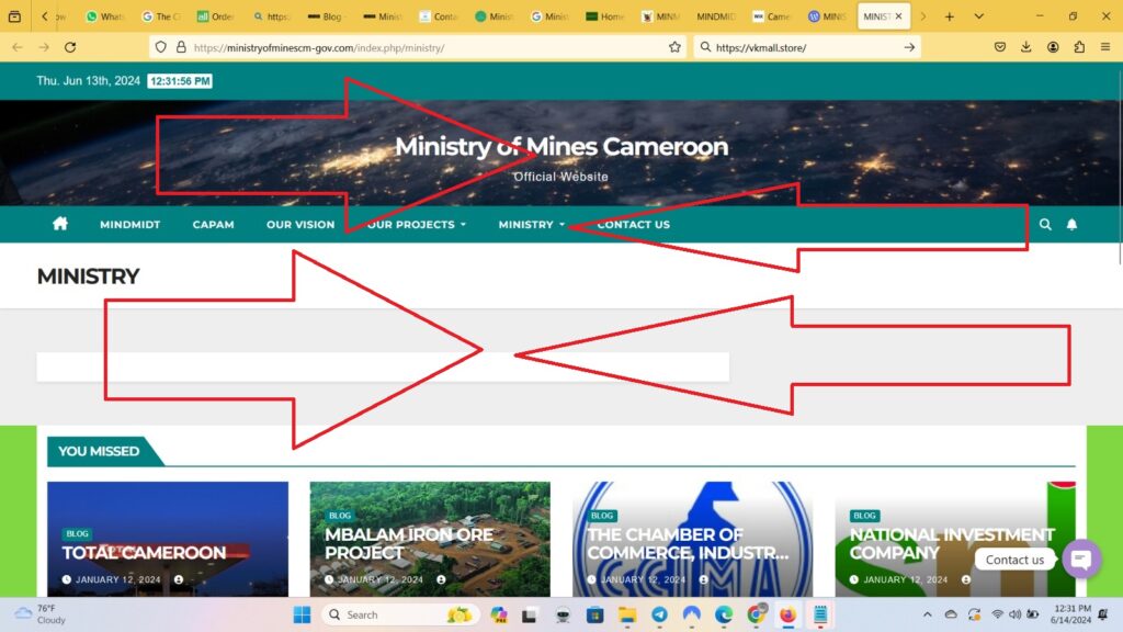 Ministry of Mines Cameroon Scam