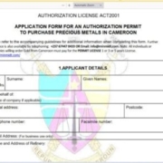 Cemac permit downloaded application form
