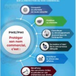 Ministry of Mines Cameroon