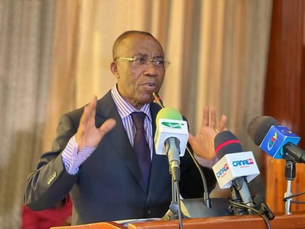Who Is The New Minister Of Mines In Cameroon