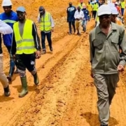 Waivers Certificates Mineral export Cameroon